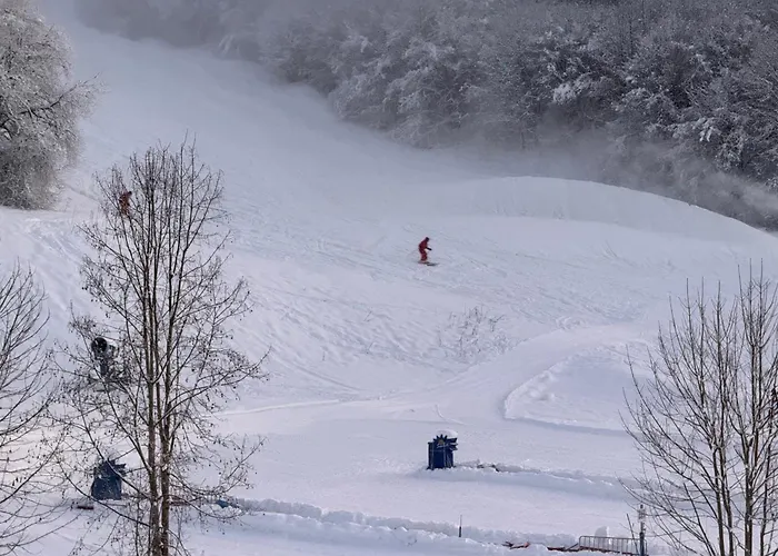 „bergblick“ * Санкт-Йоганн